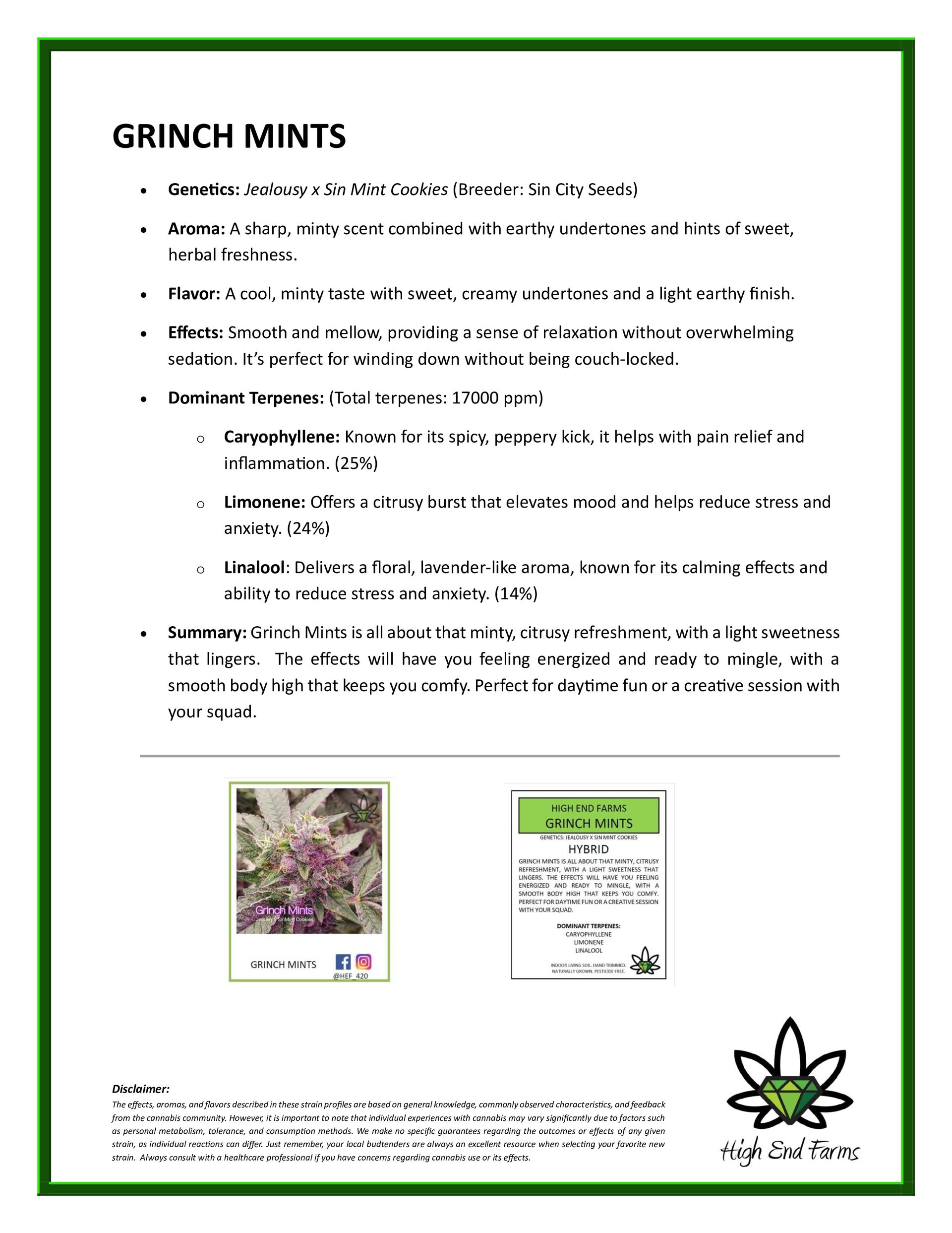 Informational flyer: 