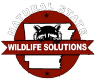 Natural-State-Wildlife