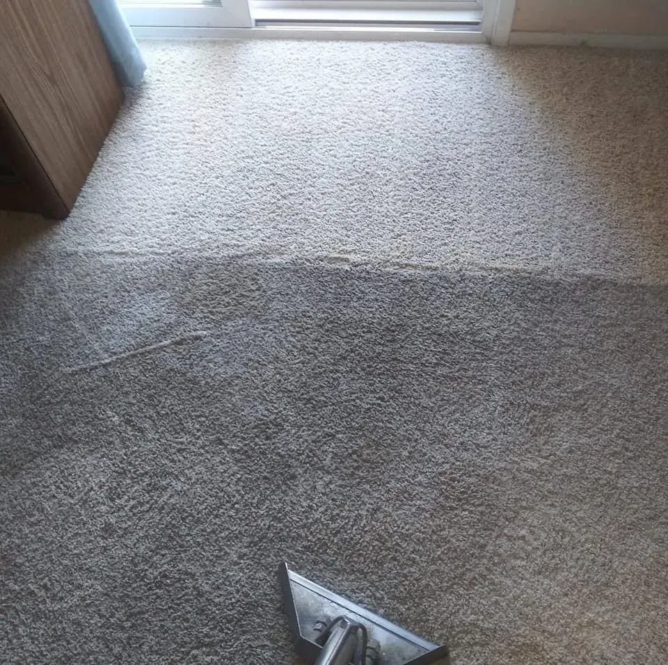 A metal vacuum wand cleaning a light-colored carpet, showing a clear contrast between the dirty and deep-cleaned sections.