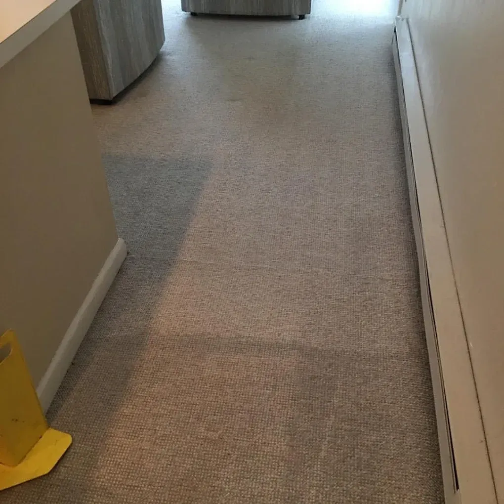 A hallway with beige carpet, a white wall with a baseboard heater, and a glimpse of furniture in the background.