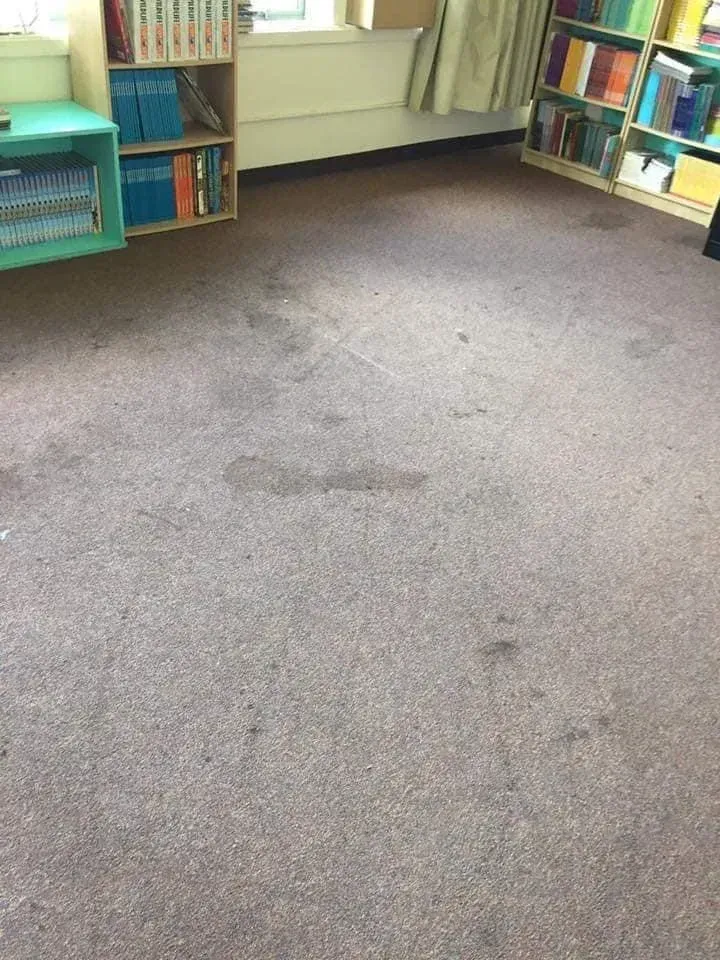 A view of a carpeted floor in a room with shelves of books, featuring several dark, worn stains on the carpet.
