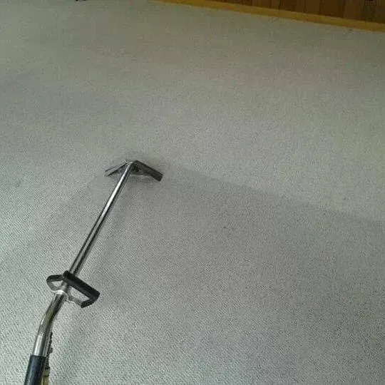 A carpet cleaning wand rests on a light-colored carpet, showing a distinct line between cleaned and dirty sections.