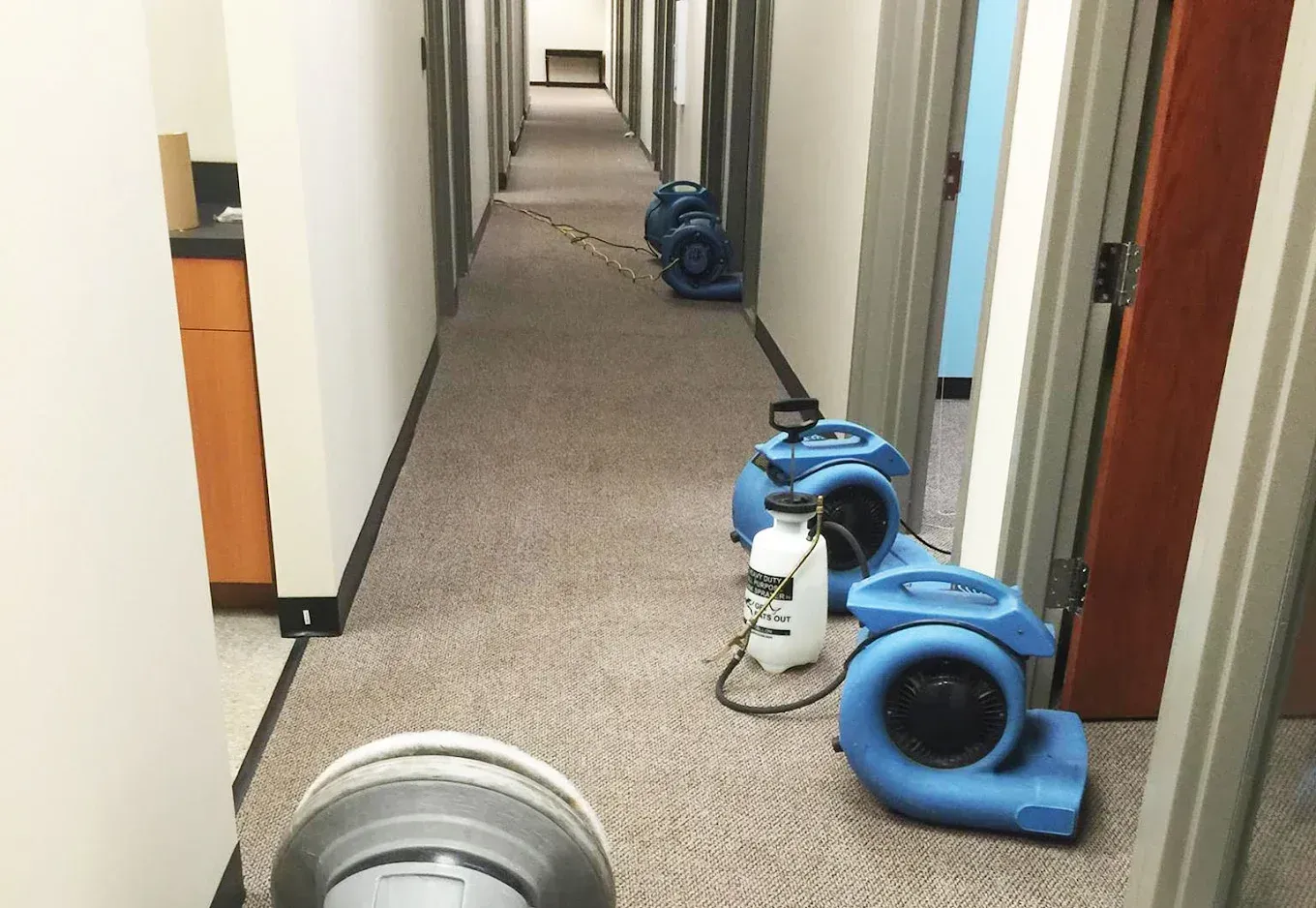 Blue industrial air movers and a spray tank sit in an office hallway undergoing water damage restoration.