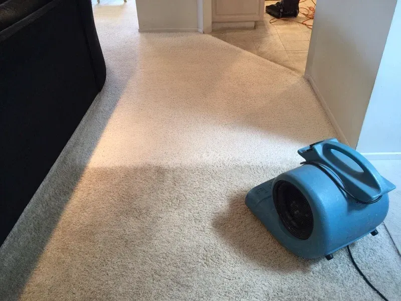 A blue industrial air mover dries a section of light-colored wall-to-wall carpeting in a room.