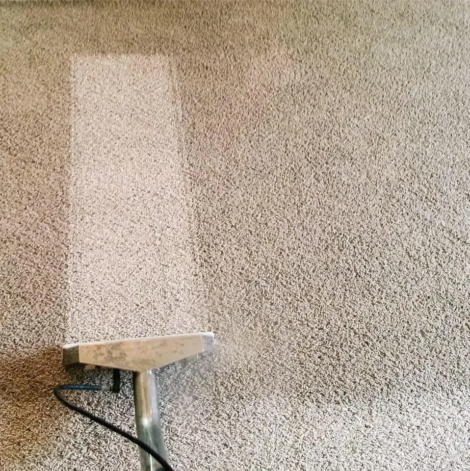 A cleaning tool extracting dirt from a light-colored carpet, showing a clean, white stripe alongside soiled carpet.