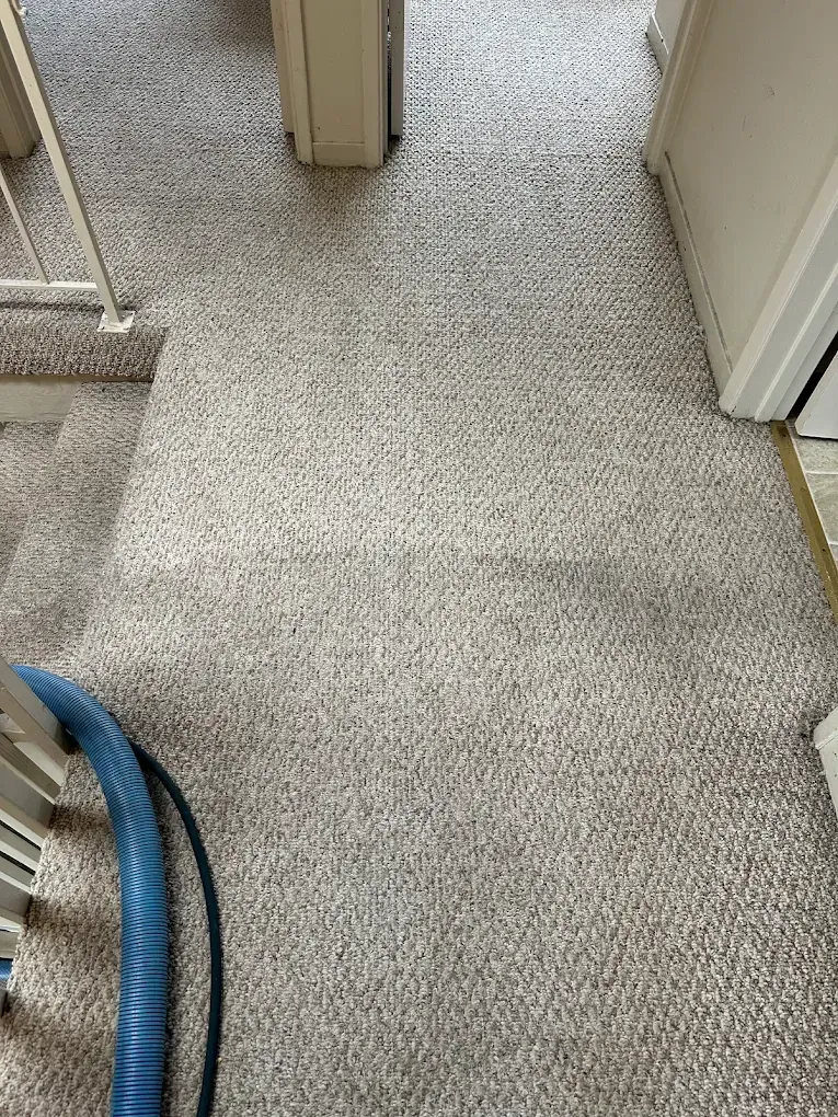 A carpeted hallway showing distinct curved patterns from a professional carpet cleaning wand.