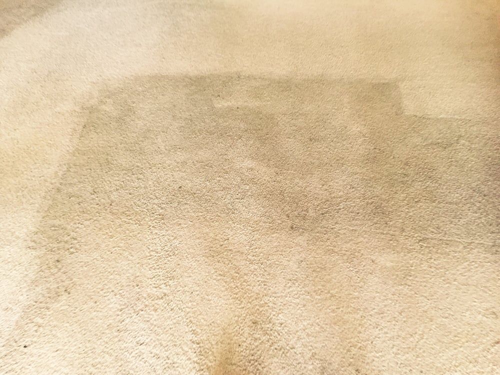 A beige carpet with a distinct rectangular patch of lighter, cleaner texture contrasting with the surrounding darker area.