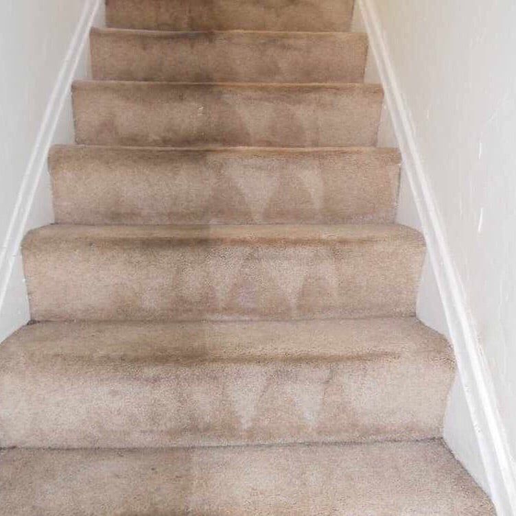 Carpeted stairs split vertically between a dirty, dark left side and a recently deep-cleaned, lighter right side.