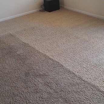 A carpeted room showing a clear, straight line between a dark, cleaned section and a lighter, soiled section of carpet.
