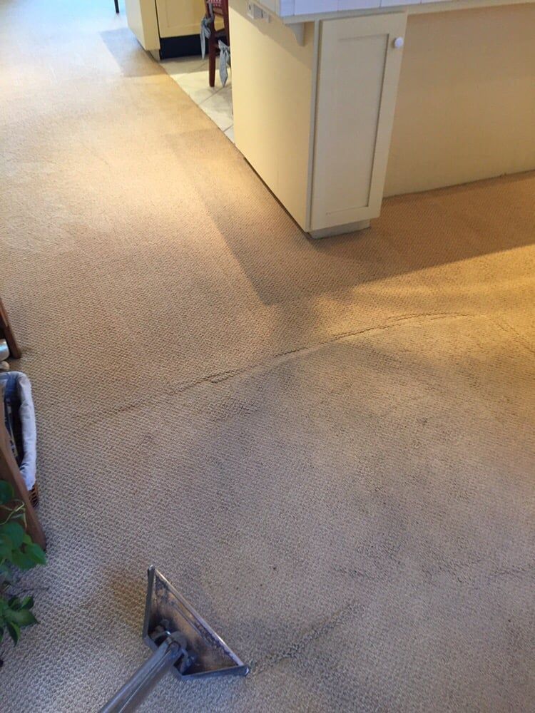 A carpet cleaning wand rests on a beige carpet, showing a clear contrast between cleaned and dirty sections.