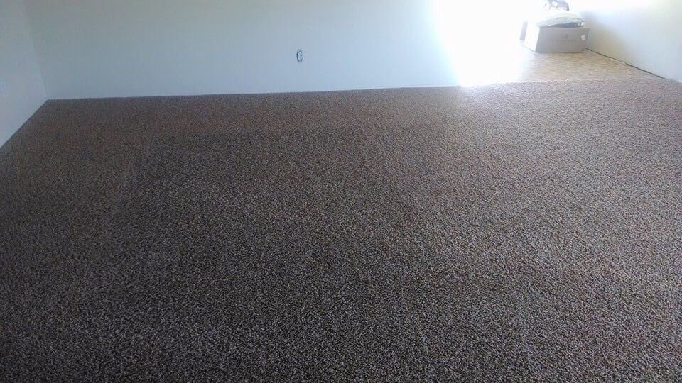 A wide view of a room with brown, textured wall-to-wall carpeting and white walls.