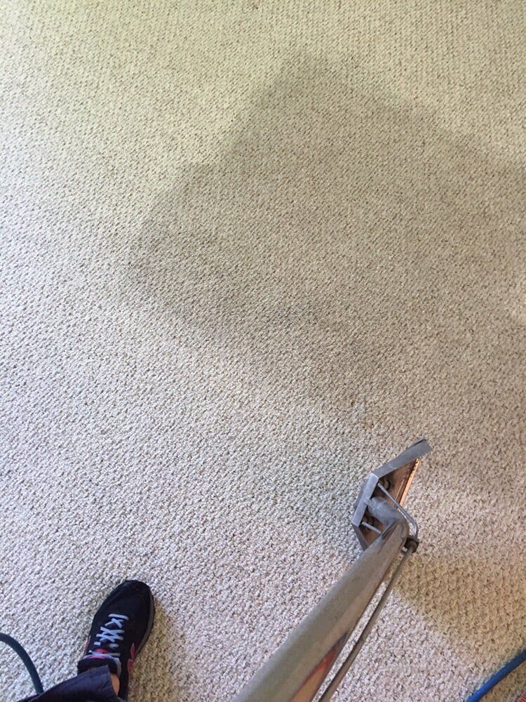 A carpet cleaner wand cleans a rectangular section of light-colored, dirty carpet, revealing a cleaner area underneath.