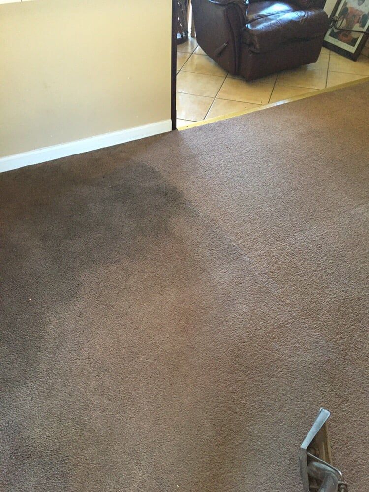 A brown carpeted room featuring a large, dark, possibly wet stain on the floor near a doorway to a tiled area.