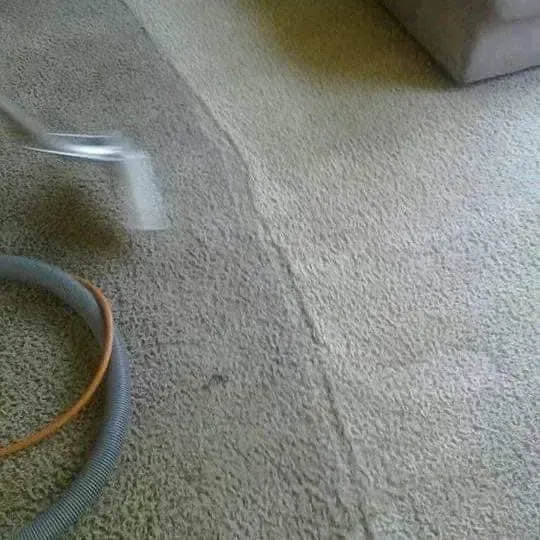 A vacuum wand cleans a strip of dirty, light-colored carpet, revealing a much cleaner section beneath.