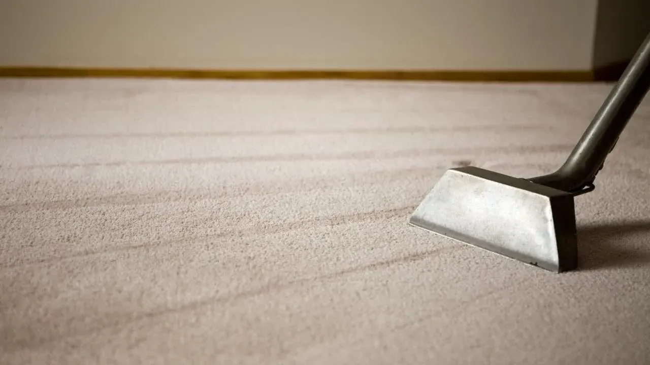 A vacuum cleaning attachment glides over light-colored carpet, creating clean, parallel lines.