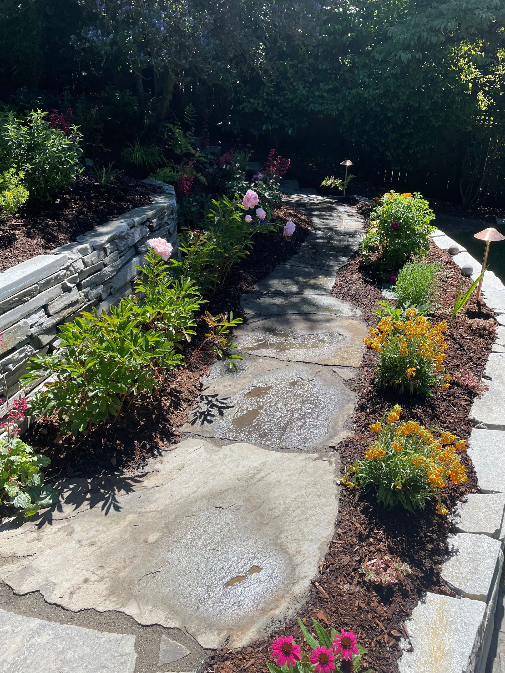 A stone walkway surrounded by flowers and plants in a garden.