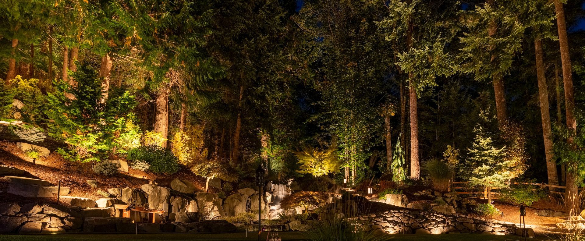A forest is lit up at night with lots of trees.