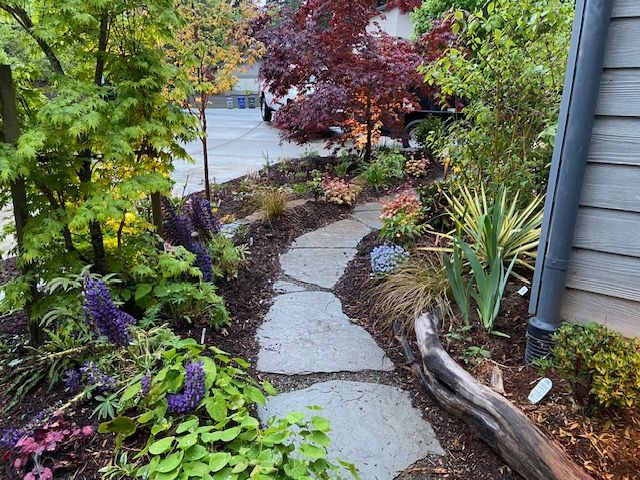There is a garden in front of a house with a lot of plants and trees.