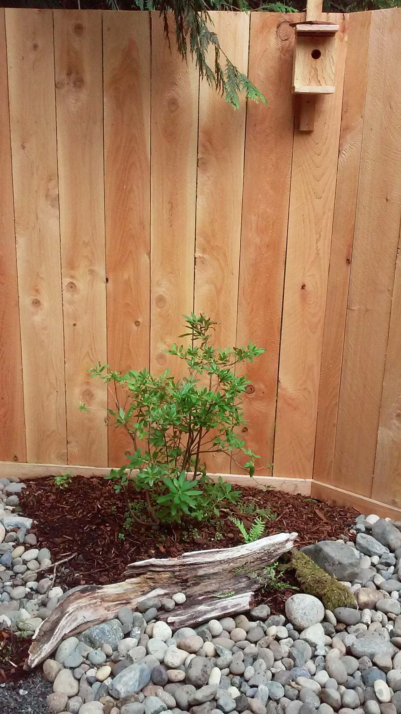 A wooden fence with a birdhouse on it and a small plant in front of it.