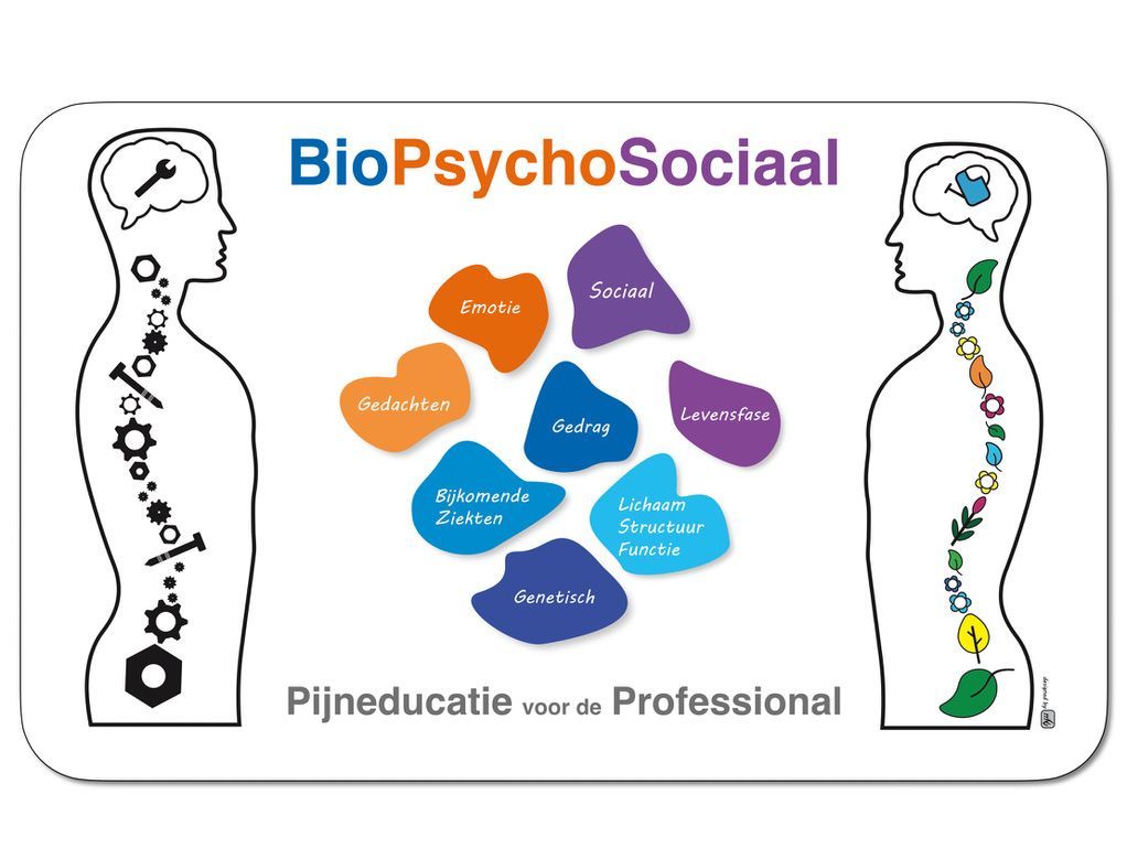 BioPsychoSociaal pijnmanagement