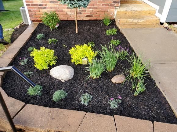 A garden with lots of plants and rocks in front of a brick house.