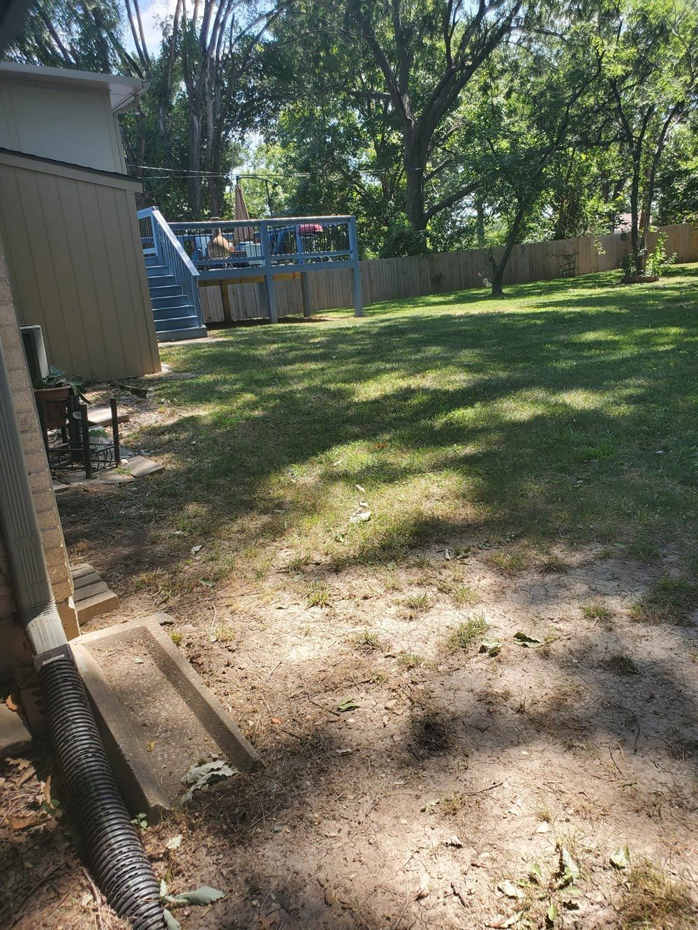 A backyard with a lot of grass and trees.