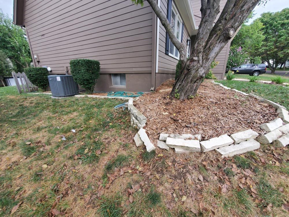 A house with a lawn and a tree in front of it.