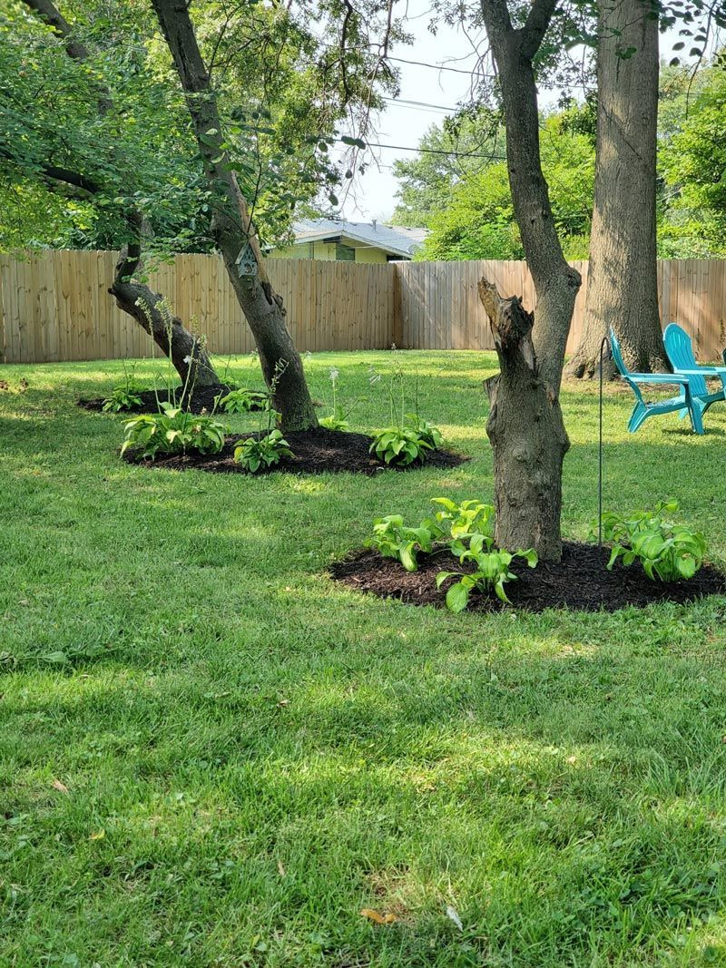 A lush green lawn with trees and chairs in a backyard.