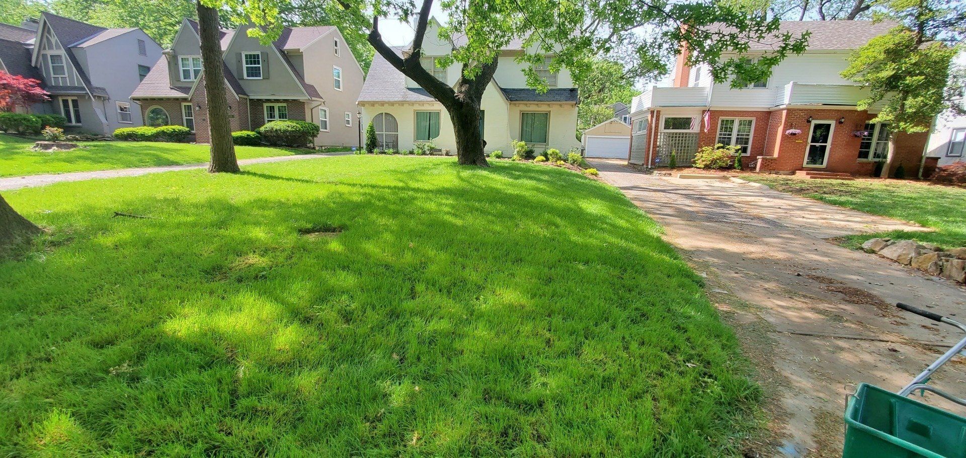 A lush green lawn in front of a row of houses.