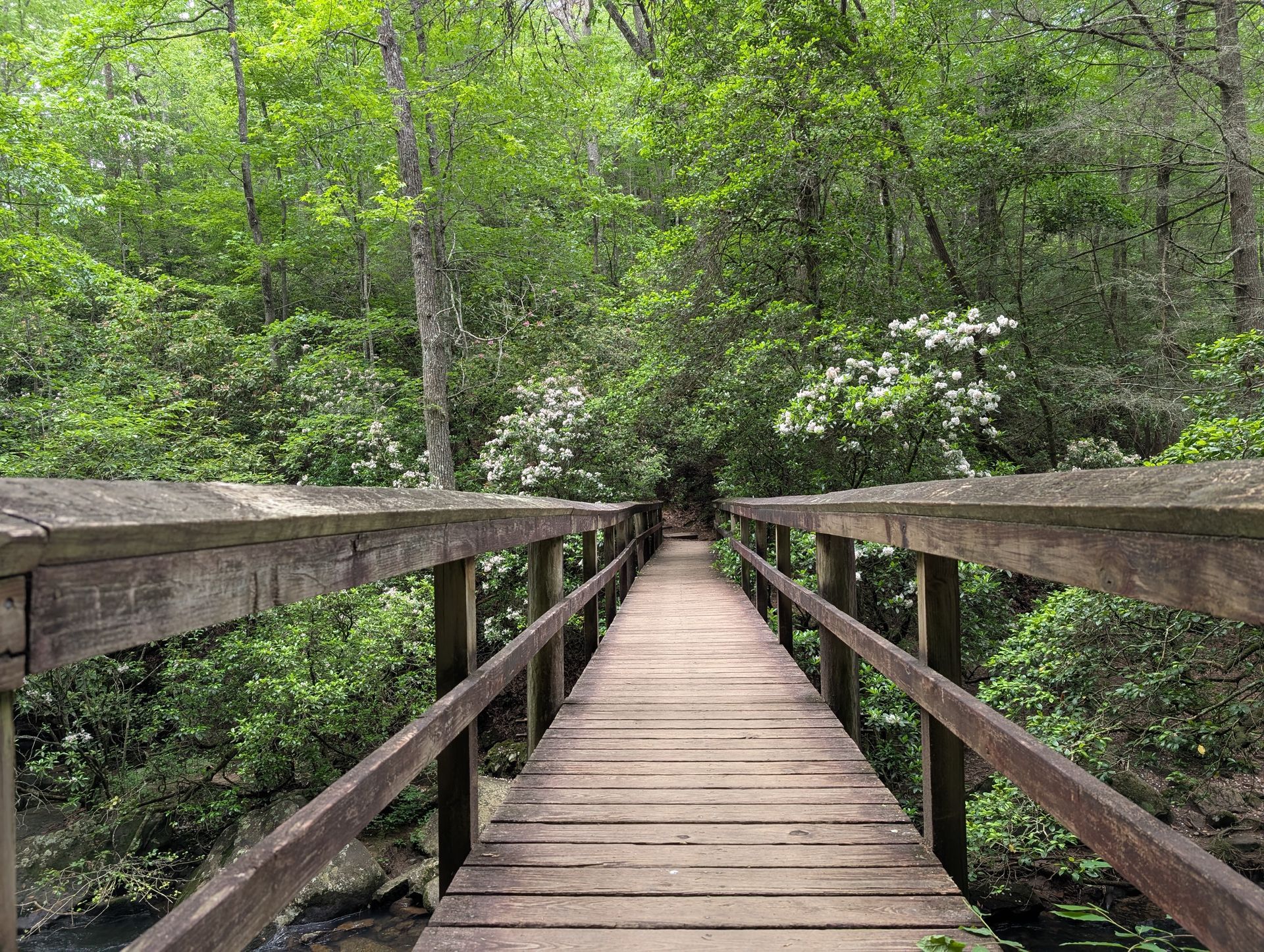 Walking bridge on a nature trail