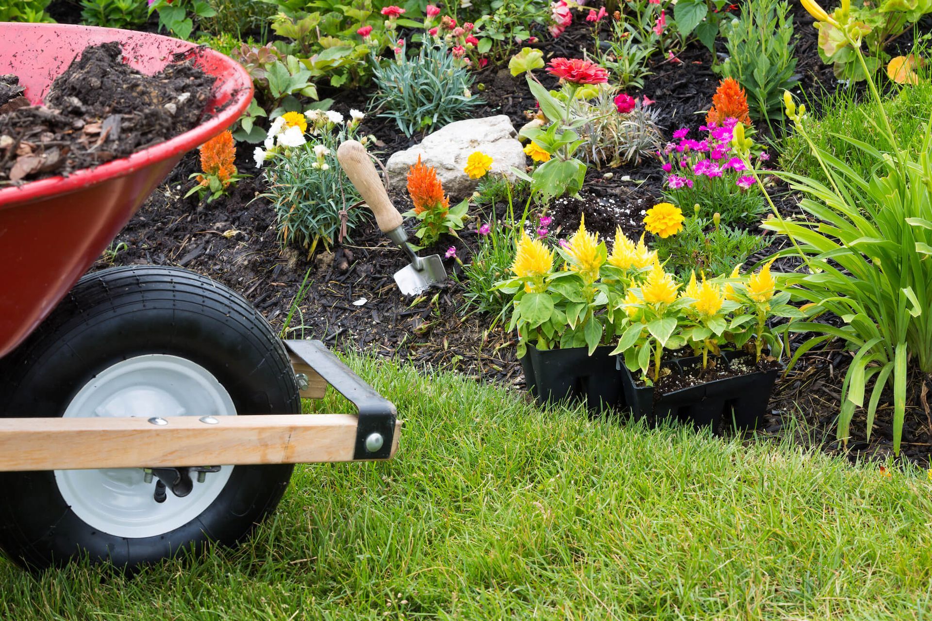 Red wheelbarrow with soil next to flower garden with plants and trowel.