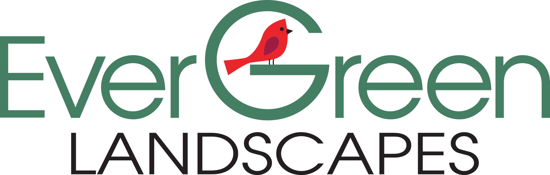 The logo for evergreen landscapes has a red bird on it.