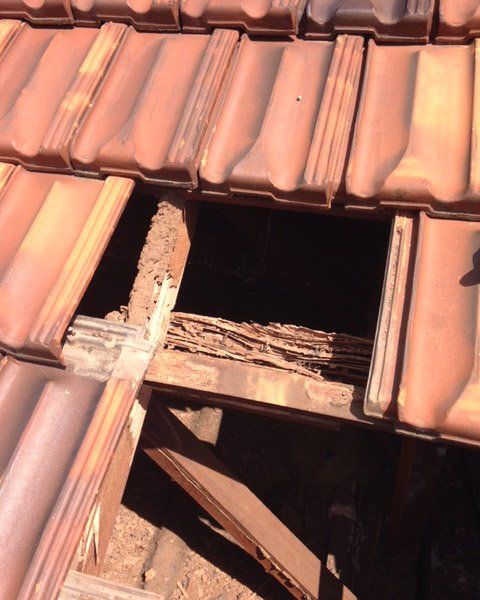 A home in Perth that is in need of termite treatment