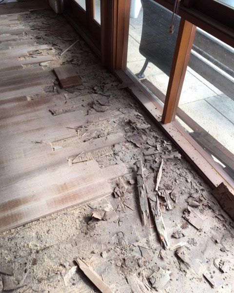 termite damage to flooring