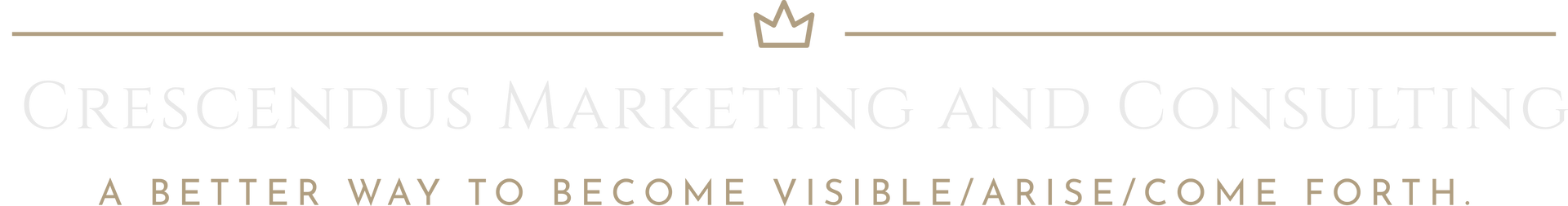 Internet Marketing Agency Macon Ga