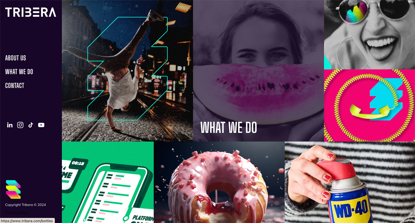 Website collage: dancer, watermelon, sunglasses, phone, donut, WD-40, various vibrant images; Tribera logo on left.