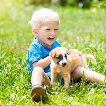 From The Ground Up Lawn Care Navarre Fl Landscape Lawn Care Company