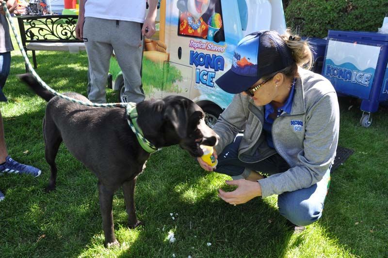 Community Appreciation Day 2019 | Stang Auto Tech