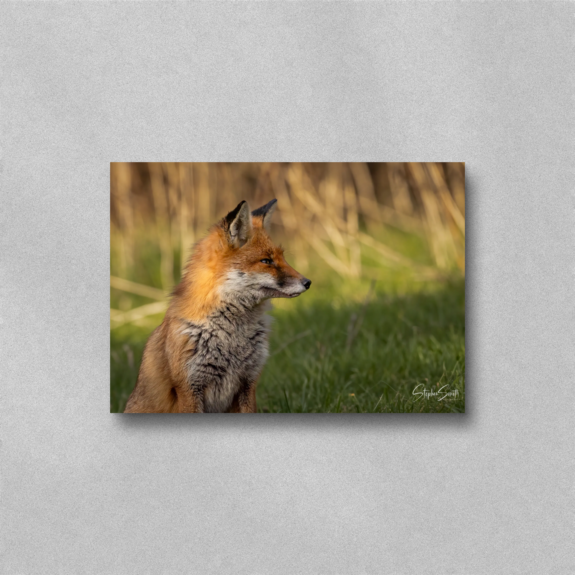 Hidden Frame Prints [Coming Soon]