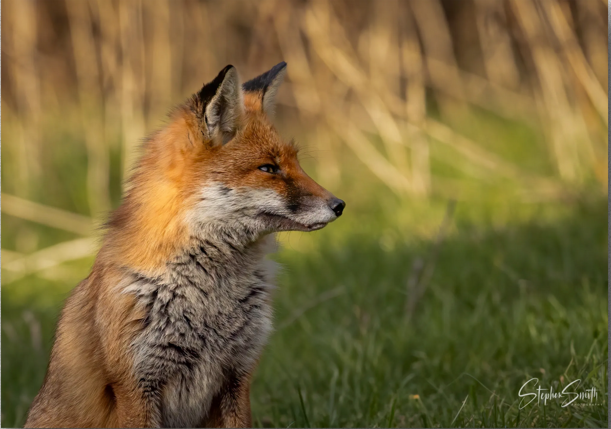 Hidden Frame Prints [Coming Soon]