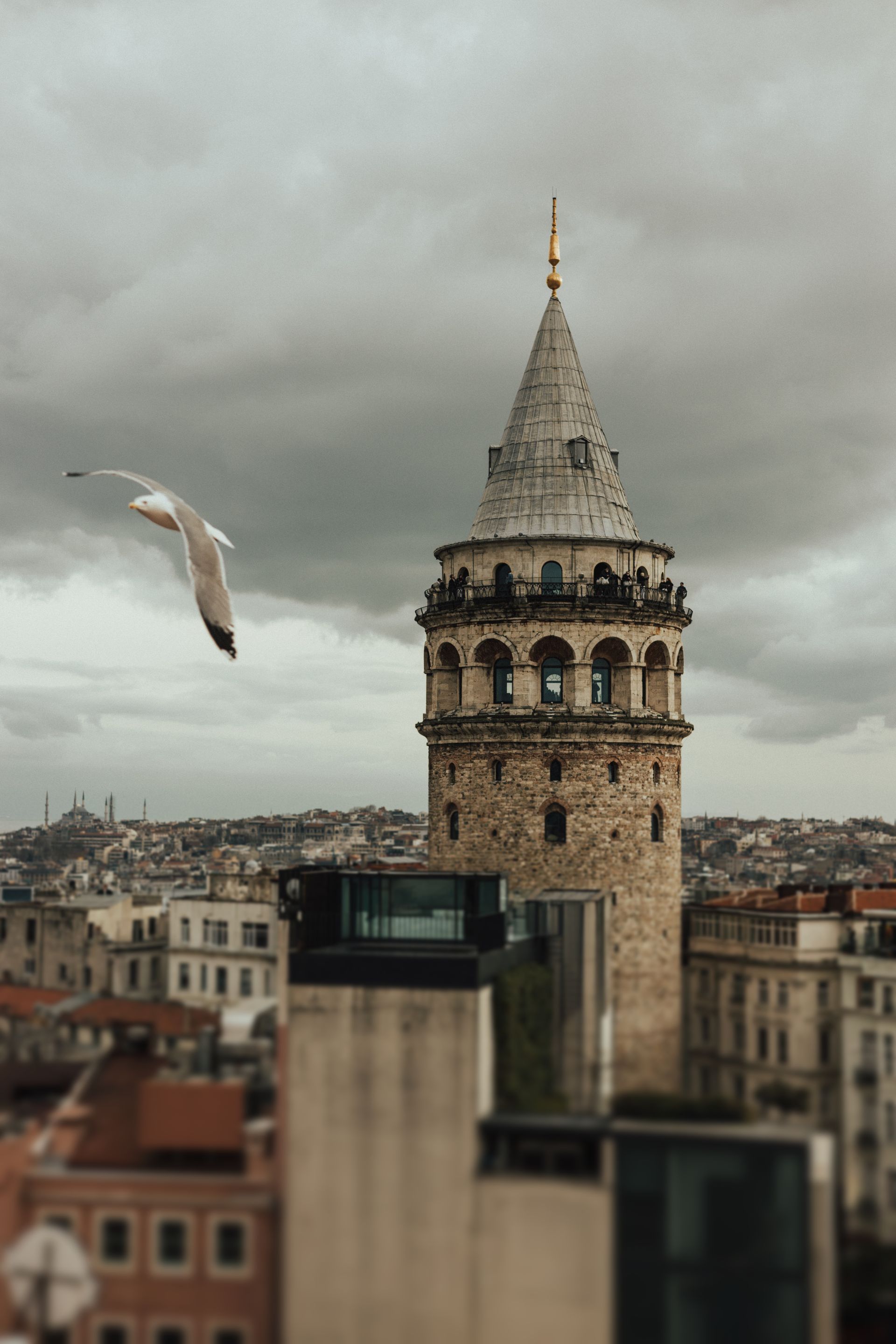 Metropolitan Bosphorus Hotel, Galata Kulesi