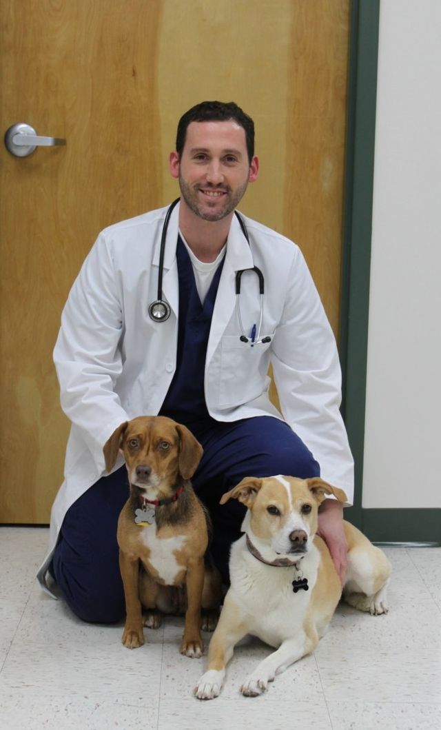 Woodley Gardens Veterinary Care | Veterinary Financial Advisors