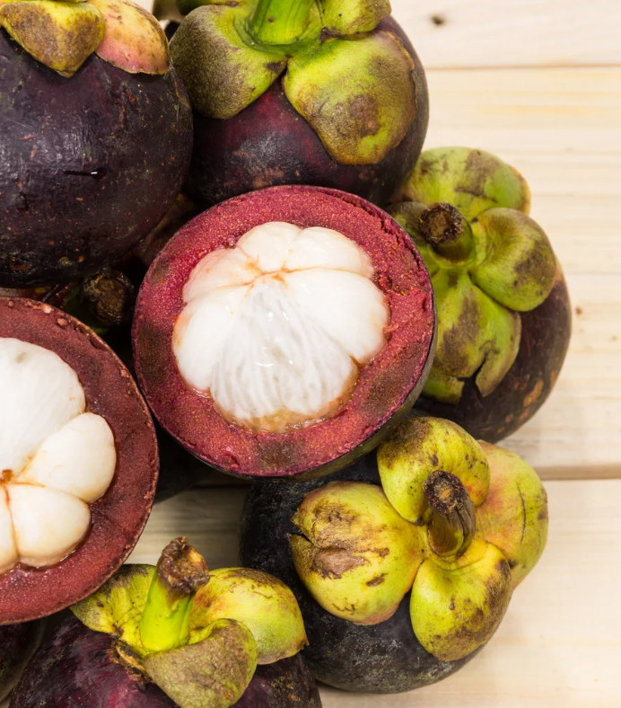 Natural Mangostane Dutch Essentials