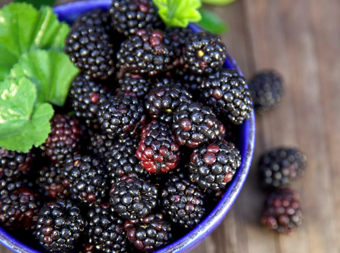 Natural Black Raspberry flavor Dutch essentials