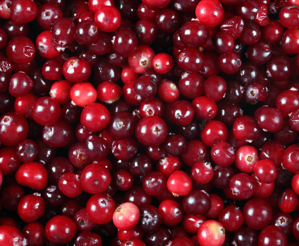 Natural cranberry flavor Dutch Essentials