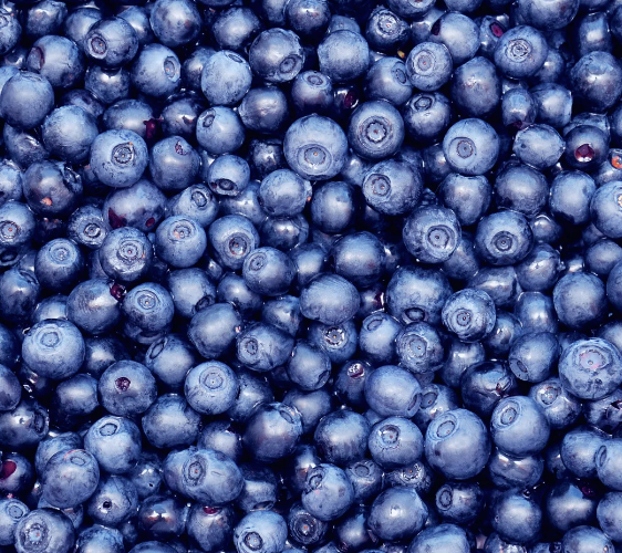 Natural Nordic Blueberry flavor