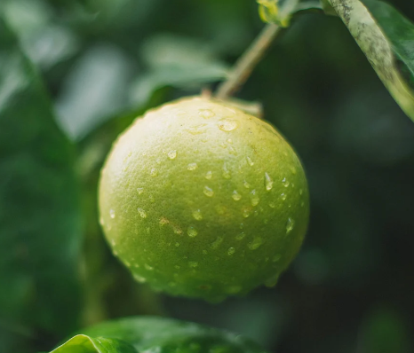 Mountain Dew-Geschmack mit natürlicher Limettennote