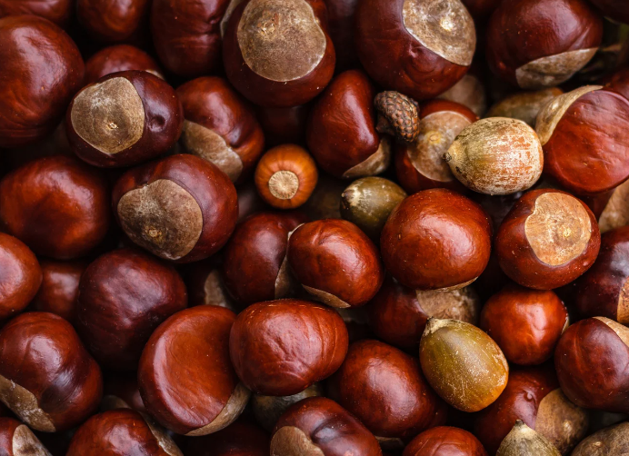 Natürliches Kastanienaroma