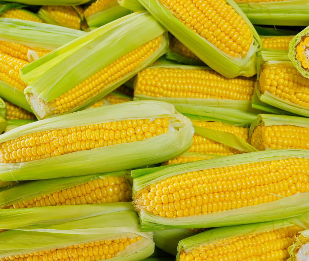 Natürlicher Zuckermaisgeschmack