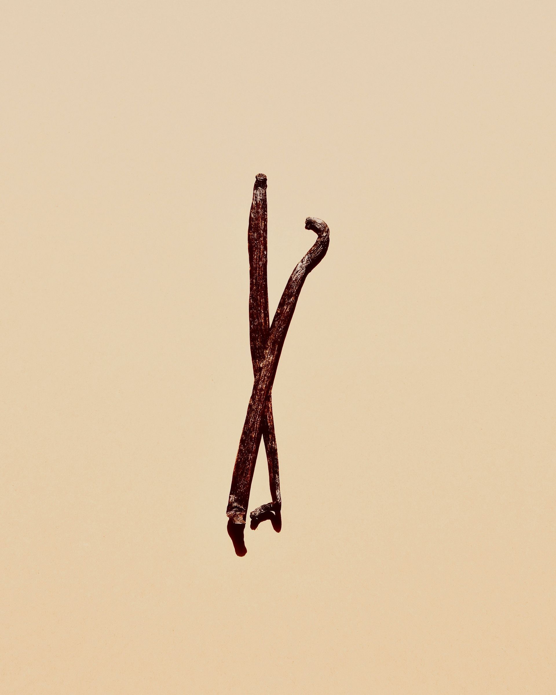 A close up of two vanilla beans on a beige background.